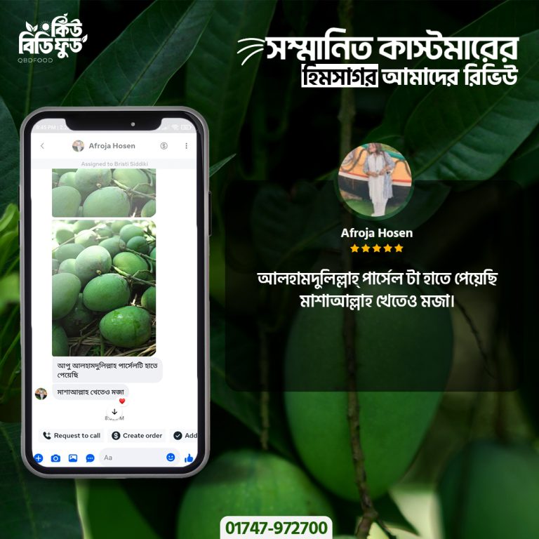 01 Review Himshagor copy